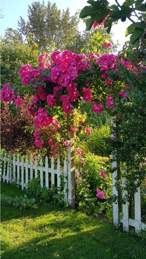 30 Great Inspirations Using Flowers To Spice Up Your Landscaping - 235