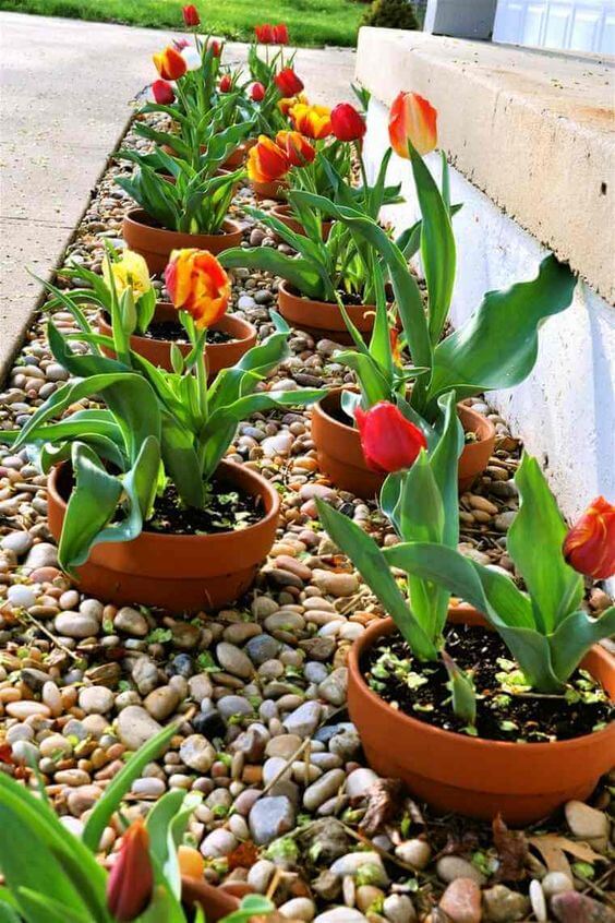 30 Great Inspirations Using Flowers To Spice Up Your Landscaping - 227