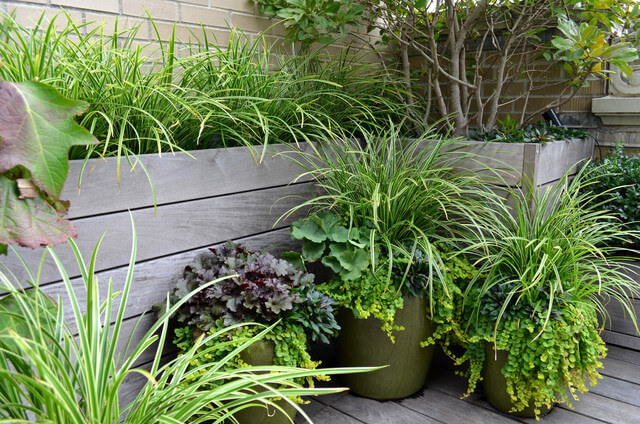 26 Totally Awesome Backyard Gardening Ideas - 195