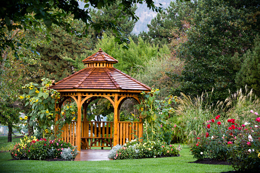 26 Totally Awesome Backyard Gardening Ideas - 167