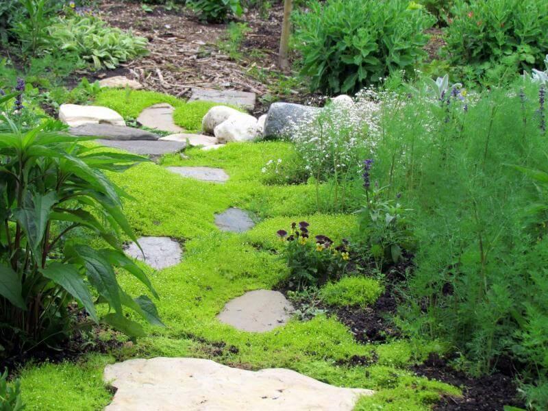 26 Totally Awesome Backyard Gardening Ideas - 199