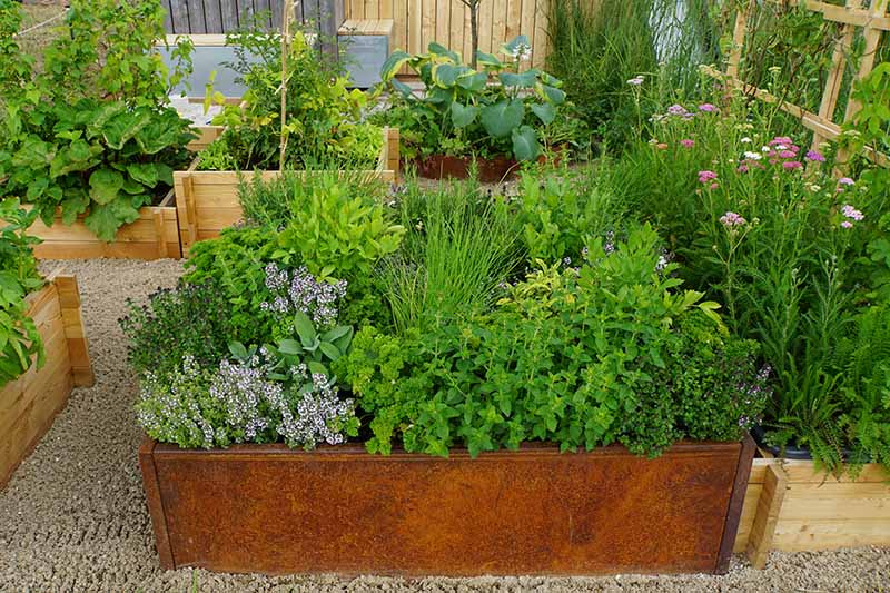 26 Totally Awesome Backyard Gardening Ideas - 205