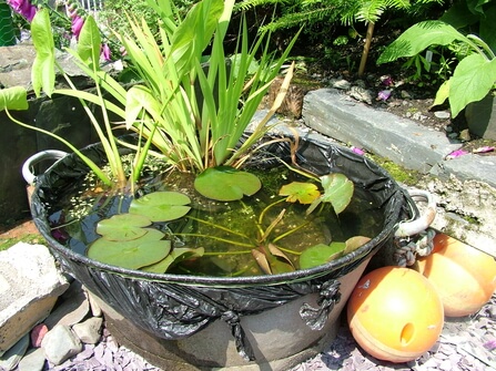 26 Totally Awesome Backyard Gardening Ideas - 189