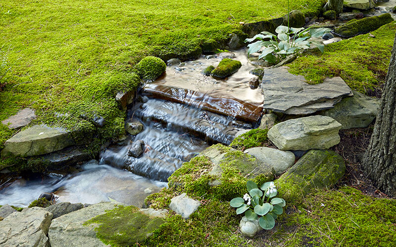 26 Totally Awesome Backyard Gardening Ideas - 197